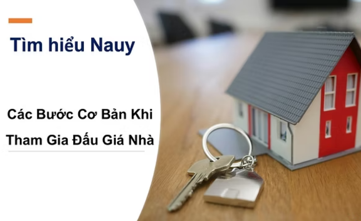 Các Bước Cơ Bản Khi Tham Gia Đấu Giá Nhà Na Uy